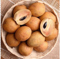 Chikoo-Sapota